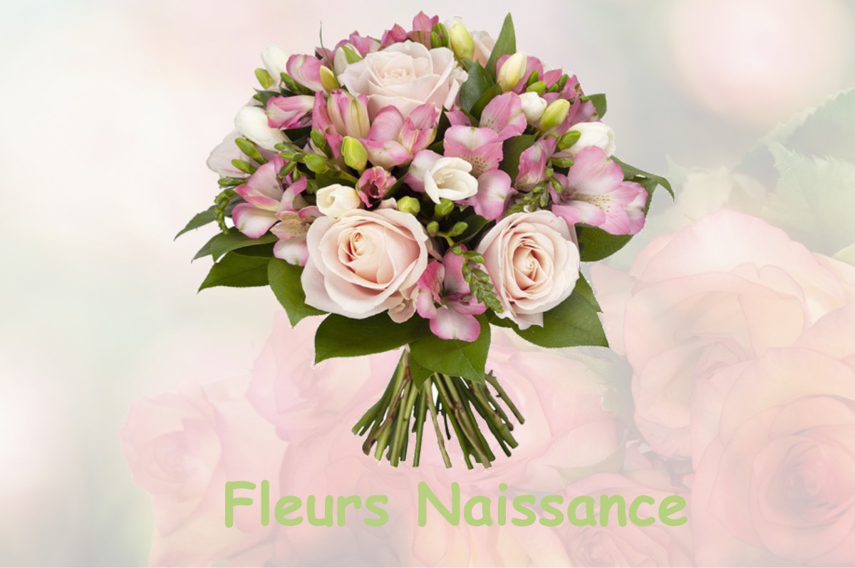 fleurs naissance CHANTECOQ