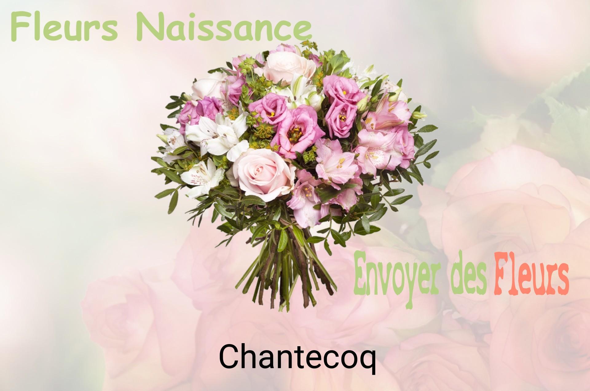 Bouquet de fleurs de naissance livré à Chantecoq