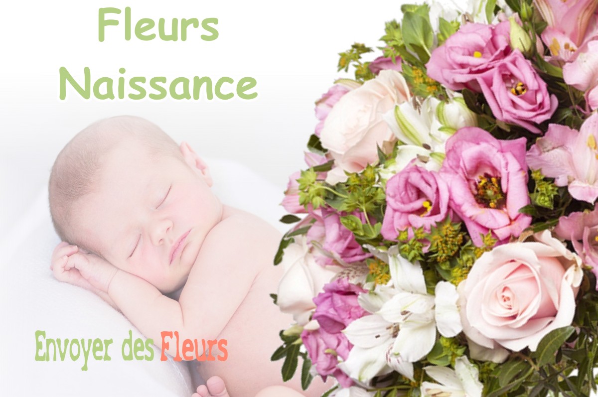 lIVRAISON FLEURS NAISSANCE à CHANTECOQ